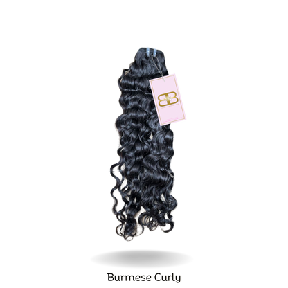 Raw Burmese Curly